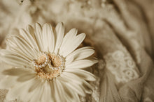 Load image into Gallery viewer, MAE - Mini huggie hoop pearl earrings stud small genuine shell pearl dainty hoop boho bride wedding bridal bridesmaid gift vintage 925