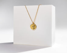 Load image into Gallery viewer, Birth Month Flower NECKLACE - dainty birth flower coin pendant necklace gold horoscope birth month zodiac coin necklace personalized gift